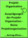 ViProMan - Reine Projektorganisation